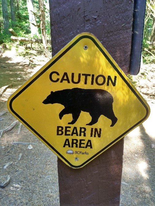 Kanada - cedule varující před medvědy